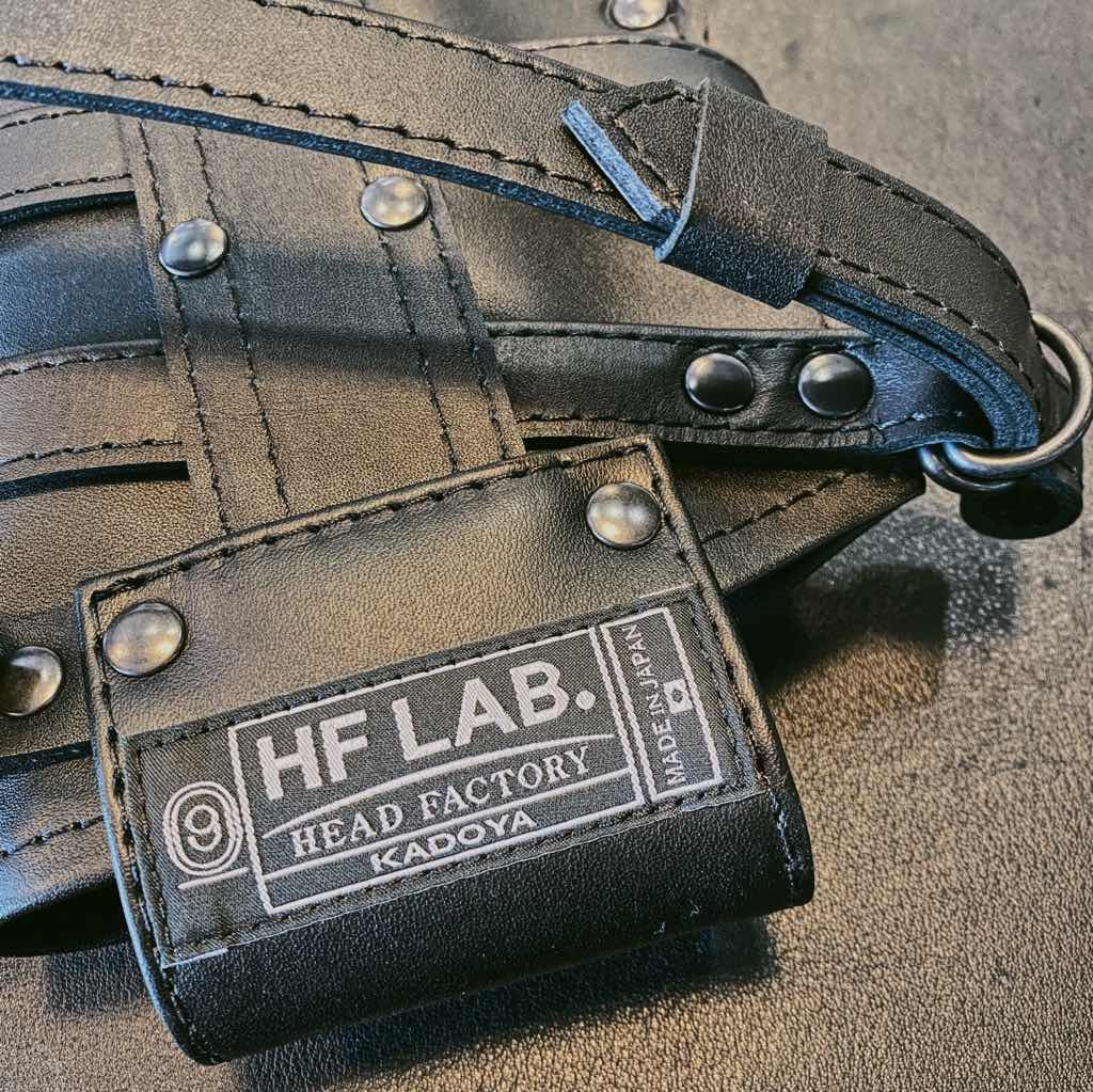 HOLSTER
