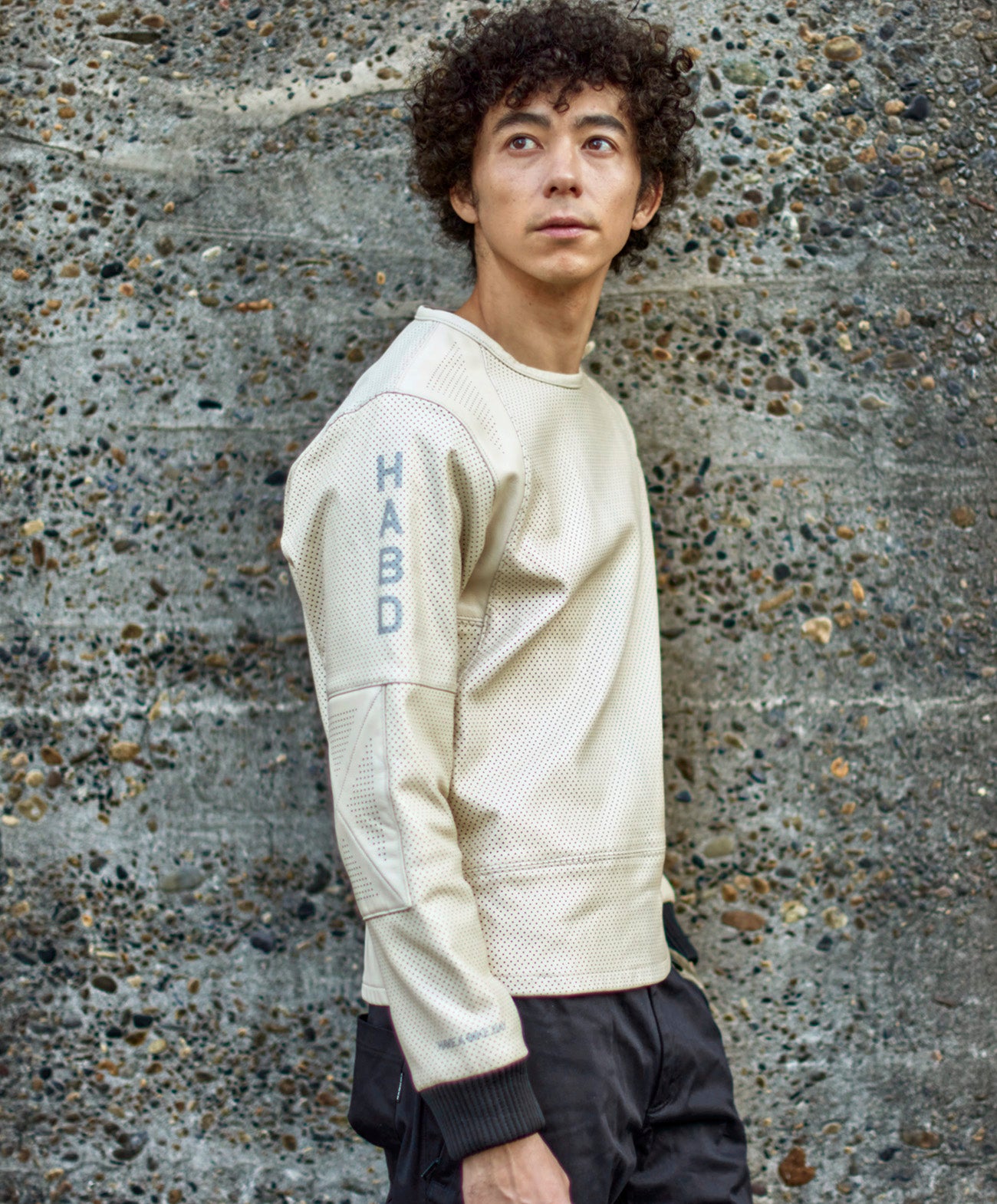 PL-PULLOVER HABD / アイボリー